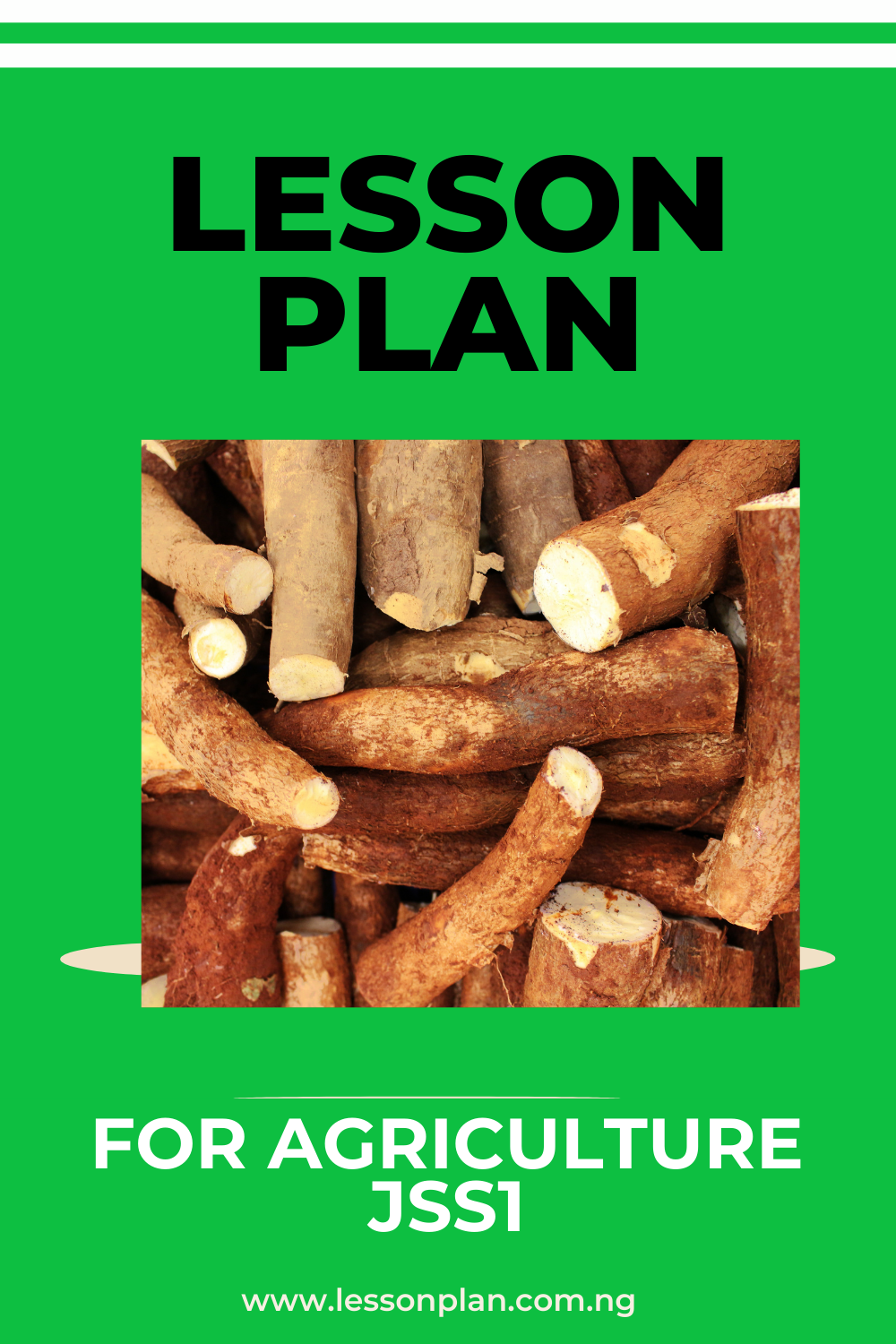 Agriculture Lesson Plan JSS1 Third Term MyLessonPlan
